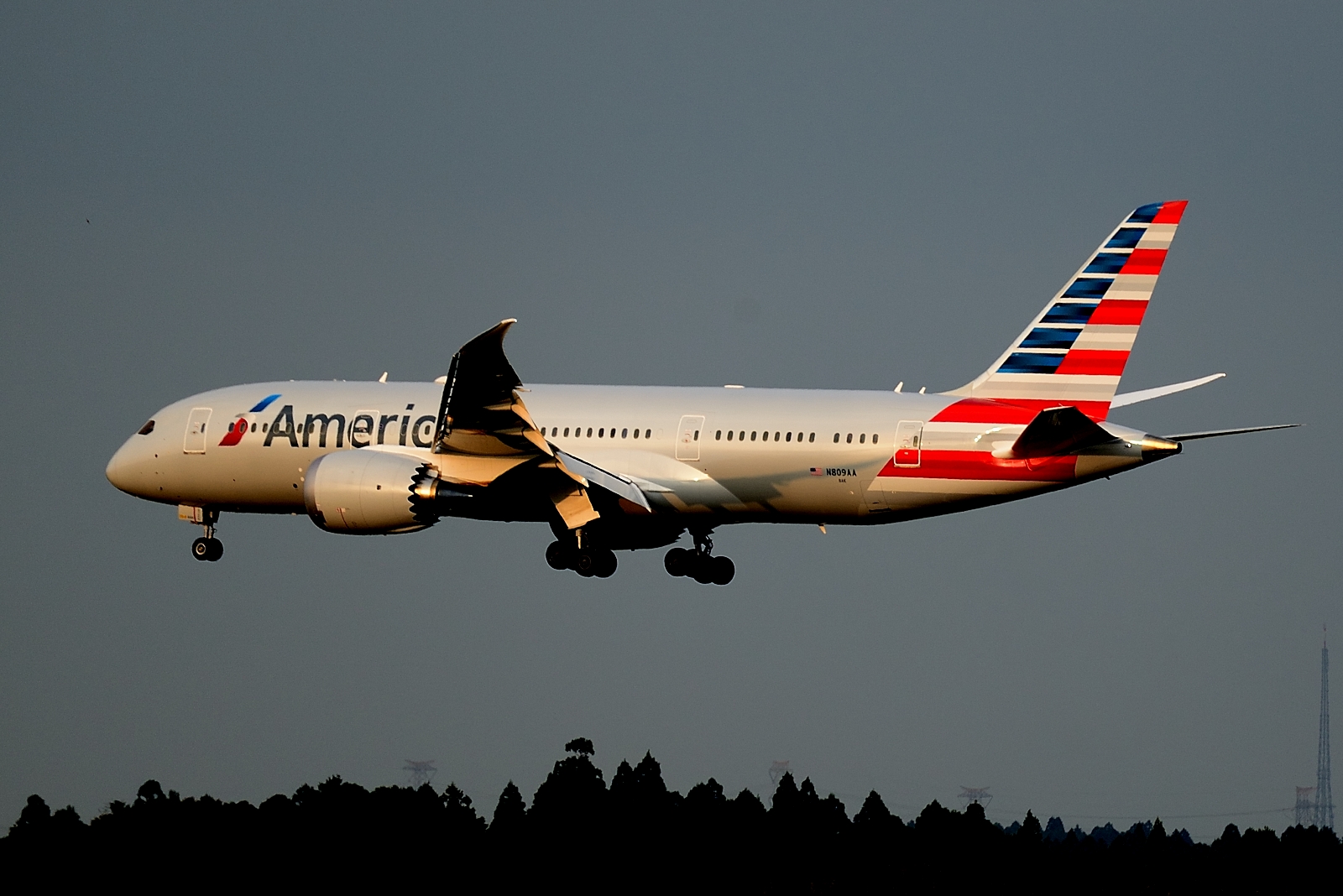 American Airlines premia l’Aeroporto di Roma Fiumicino con la Customer Cup