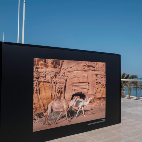 AlUla: A Tapestry of Creativity
