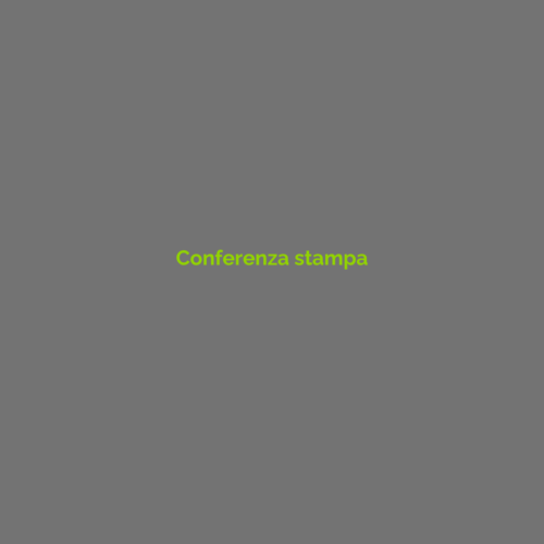 Conferenza stampa