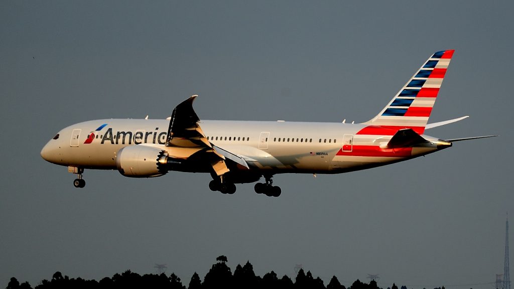AA_787-8_dreamliner_esterno